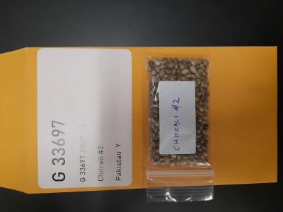Click for 1 image(s) for this accession. SEED
